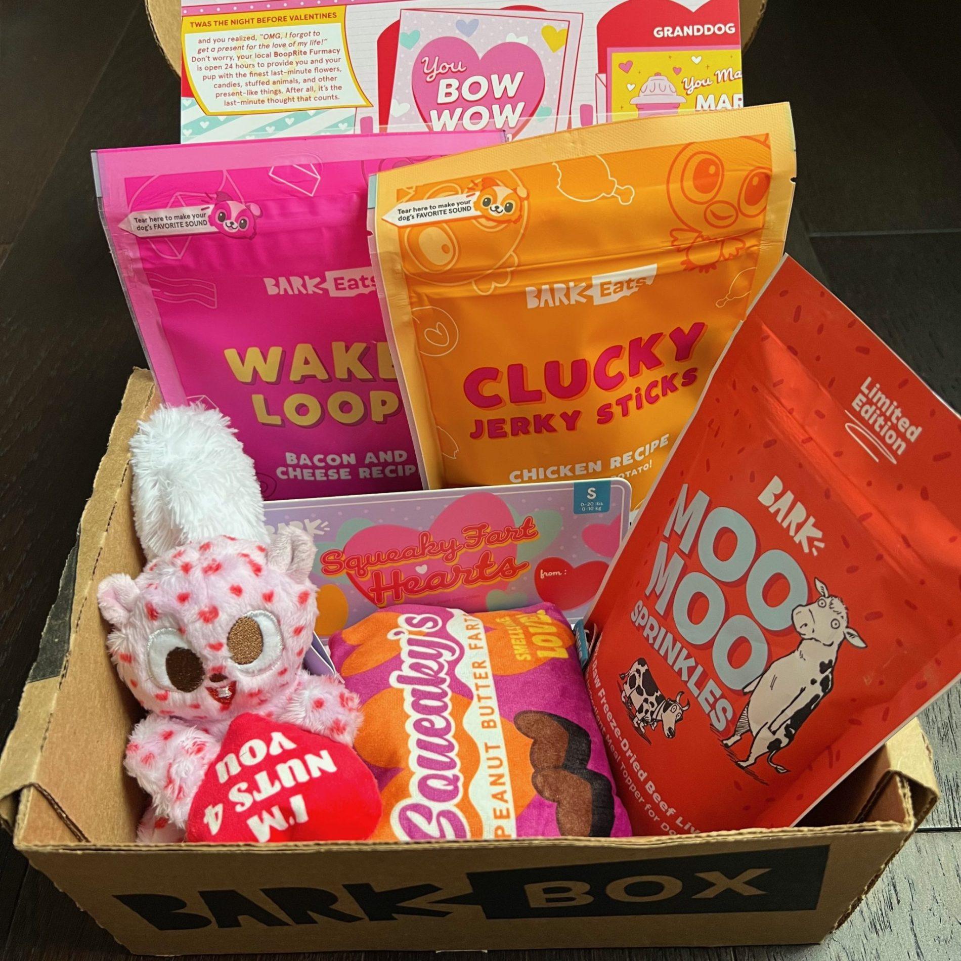 Read more about the article BarkBox Review + Coupon Code – February 2023