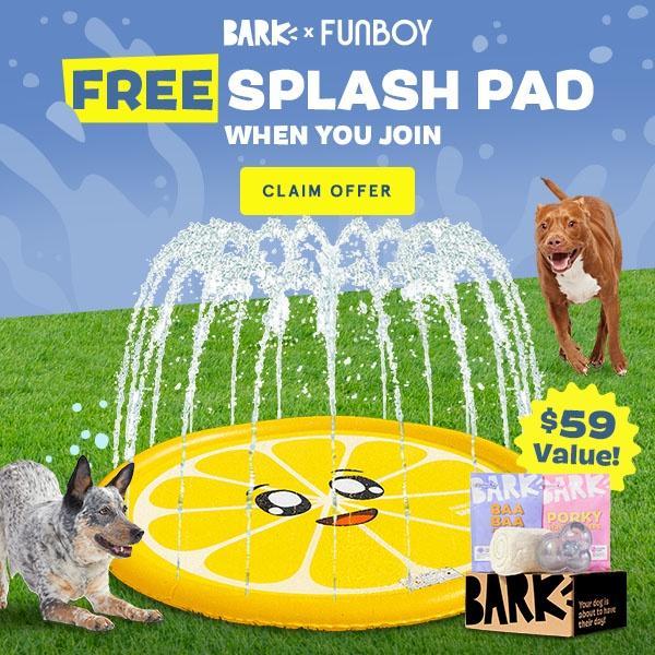 Read more about the article Super Chewer by Bark幸运飞行艇官方开奖查询结果 BOX Coupon Code – FREE Funboy Splash Pad