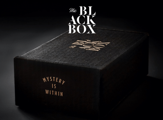 Read more about the article Bespoke Post Black Friday Offer – Free Mystery Box with $45+ Purchase